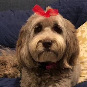 Meet your Posher, Jackie